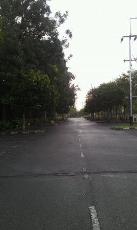 Empty road