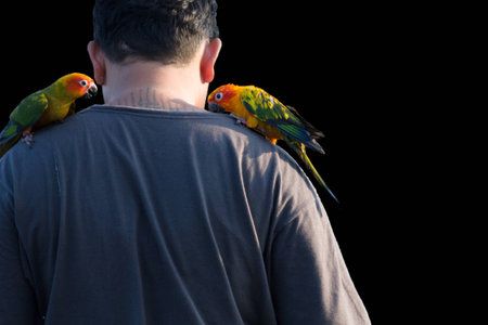 parrot clutchの写真素材