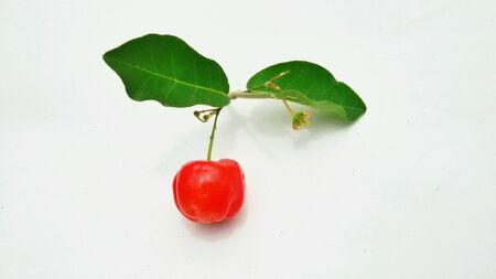 Babados cherryの素材