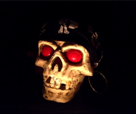 Scary skull with a pirate lookの素材