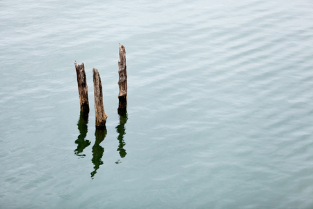 Timber in Waterの写真素材