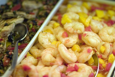 fresh italian appetizerの写真素材