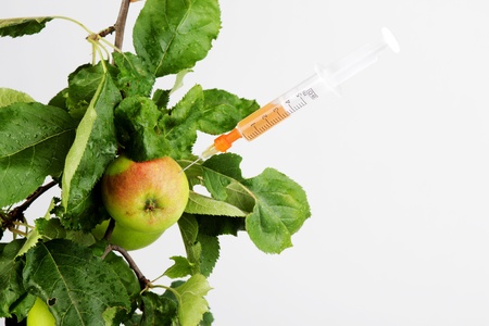 apple twig with syringeの写真素材