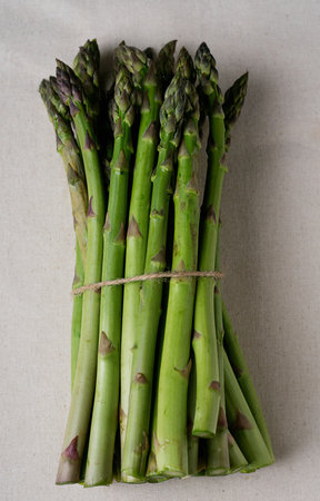 Fresh green asparagus stalks tied with twine on a neutral fabric background. The asparagus spears are arranged in a neat bundle, showcasing their tips and vibrant green color.の写真素材