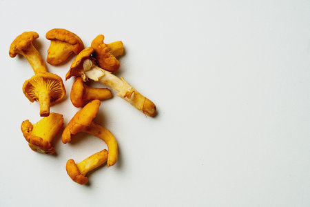 Fresh yellow chanterelle mushrooms scattered on a white background. Minimalist composition highlights the vibrant color and texture of the fungi. Top view emphasizes the clean, simple layout.の写真素材