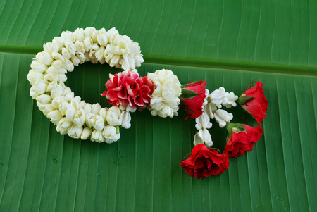 Maalai The flower in Thai Traditional Styleの写真素材