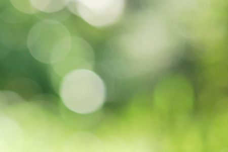 abstract green natural backgroundの写真素材