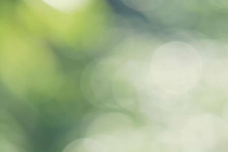 abstract green natural background