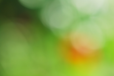 abstract green natural backgroundの写真素材