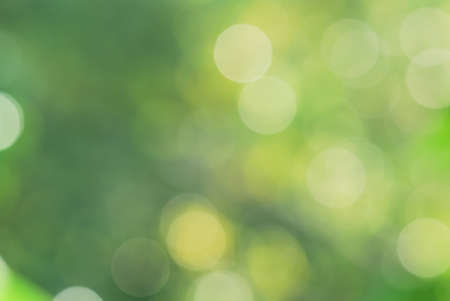 abstract green natural backgroundの写真素材