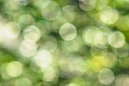 abstract green natural backgroundの写真素材