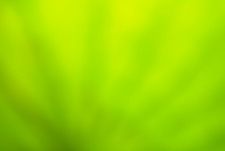 abstract green natural backgroundの写真素材