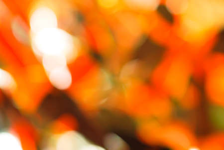 Red green light bokeh nature backgroundの写真素材