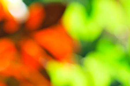 Red green light bokeh nature backgroundの写真素材