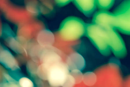 Vintage style Red green light bokeh nature backgroundの写真素材