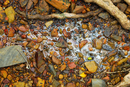 Rainbow reflection of crude oil spill on the stone at the beachの写真素材