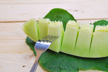 cantaloupe melon greenの写真素材