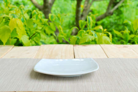 Place for object on plate and wooden table with green summer backgroundの写真素材