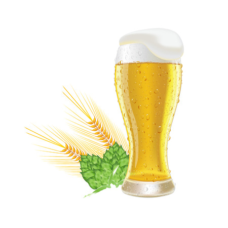 Glass fresh beer with cap of foam and water drop barley and hops isolated on white background vector illustrationのイラスト素材