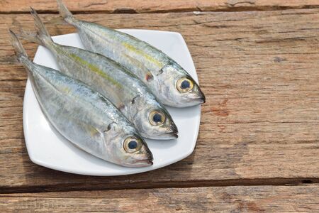 Fresh mackerel fish in plate on wooden tableの写真素材