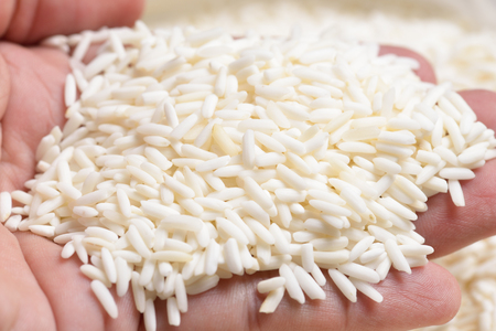 White sticky rice as a food background, Uncooked raw cereals, Macro closeup backgroundの写真素材