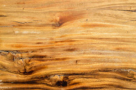 wood textureの写真素材