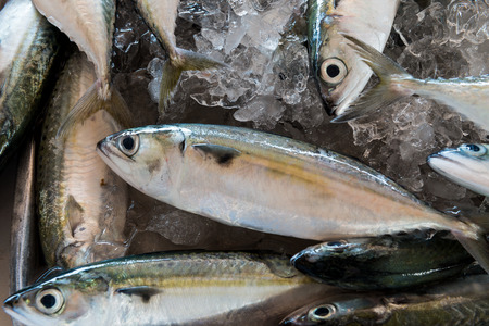 Fresh fishes in a market local market