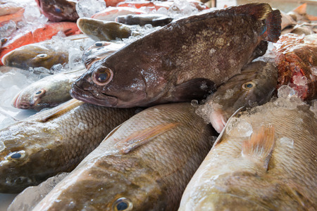 Fresh fishes in a market local market