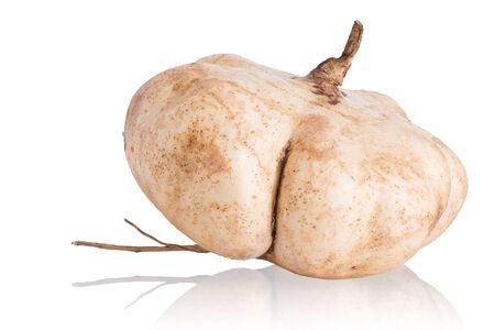 Cassava, Yam bean, Pachyrhizus erosus (L.) Urbar, Jicama isolated on white backgroundの写真素材