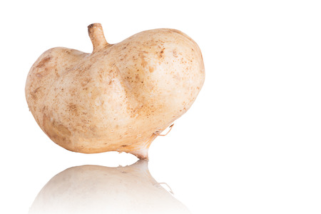 Cassava, Yam bean, Pachyrhizus erosus (L.) Urbar, Jicama isolated on white backgroundの写真素材