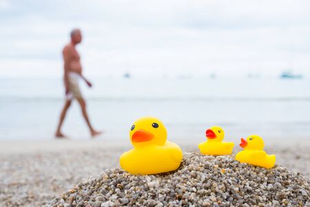 Family holiday concept with rubber duck and duckling  walking on the beachの写真素材