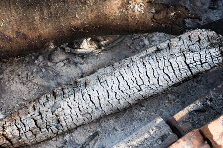 Ash texture buring firewood in campの写真素材