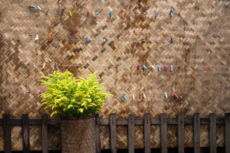 Flower and Native Thai style bamboo wall background, natural wickerworkの写真素材
