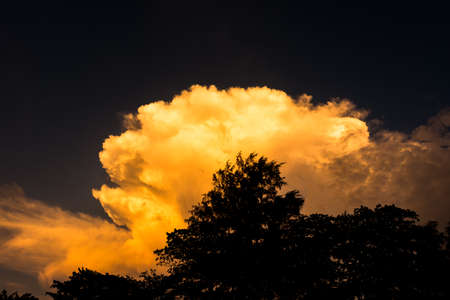 Golden dramatic clouds at sunset and silhuette of treeの写真素材