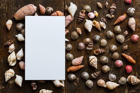 White blank card on wood background with small sea shell