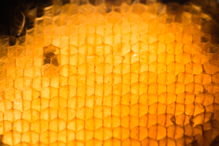 Abstract small bee wax texture and honeycomb light and shadowの写真素材