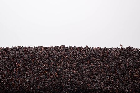 Rice berry on white background top viewの写真素材