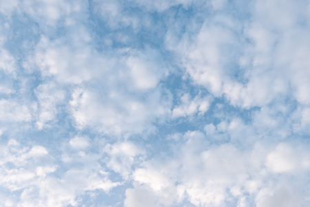 Cloud in the sky in evening before sunset