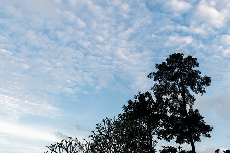 Cloud in the sky in evening before sunsetの写真素材