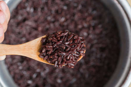 Cooked rice berry in wooden spoonの写真素材