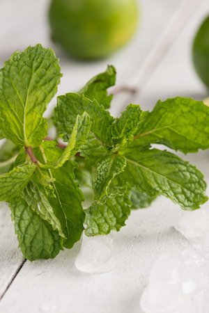 Green fresh peppermint leaf on white rustic wooden backgroundの写真素材