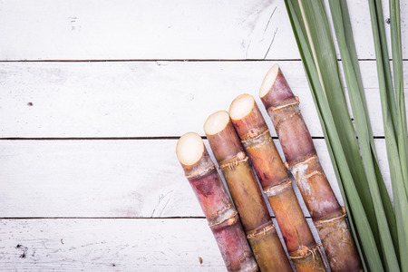 Sugarcane and green leaf close up on rustic white tableの写真素材