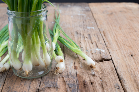 Pile of fresh spring onion on wooden tableの写真素材