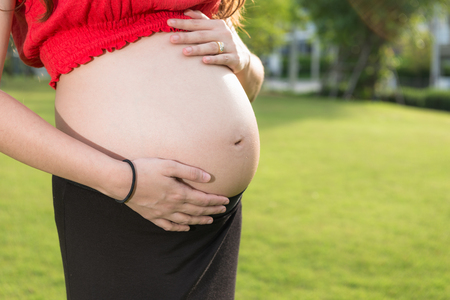 Belly of a pregnant woman on a light natural backgroundの写真素材