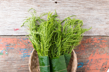 Thai local vegetable, Senegalia pennata or Acacia pennata or Cha-om (Thai Language) on wooden backgroundの写真素材
