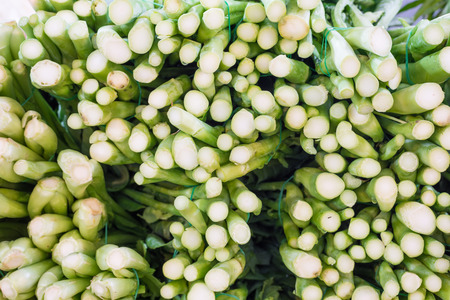 Fresh chinese kale in the marketの写真素材