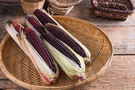 Fresh purple corn on wooden backgroundの写真素材