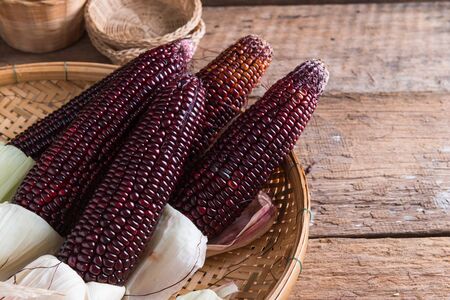 Fresh purple corn on wooden backgroundの写真素材