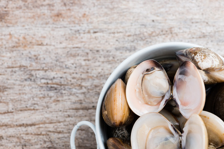 Fresh enamel venus shell (Meretrix lyrata) Meretrix is a genus of edible saltwater clams, marine...