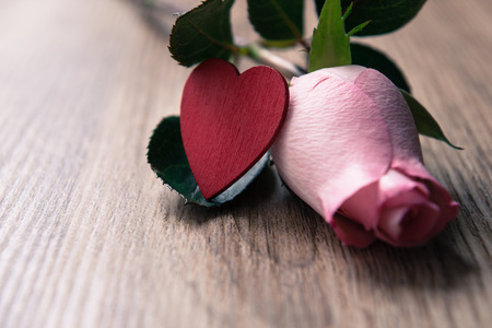 Pink Rose on wooden background vintage filterの写真素材